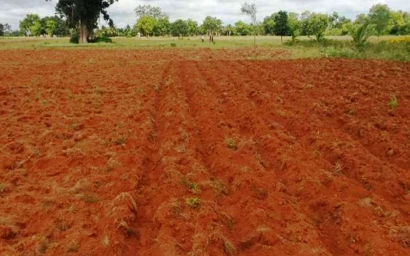 Conversion of Agricultural Land to Non Agriculture Agents in Bangalore